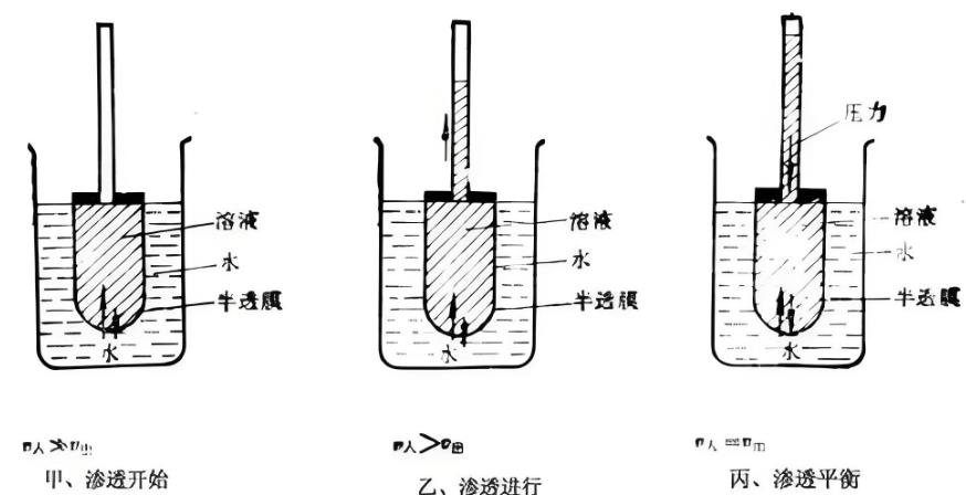 浸與滲：解析二者的差異